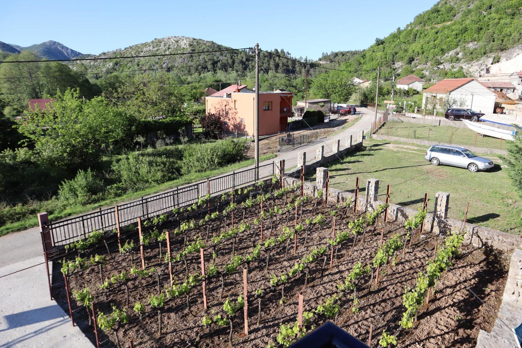 Green Field Apartments Вирпазар Екстериор снимка